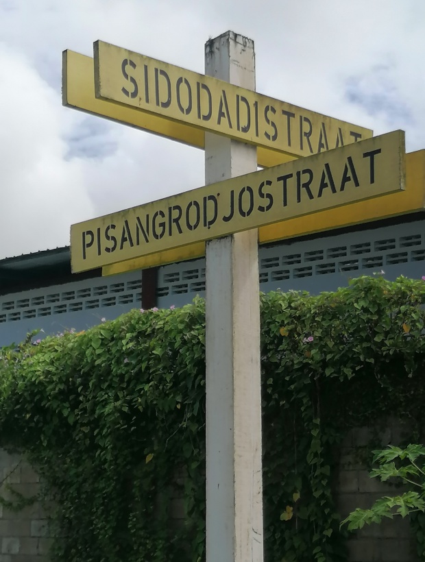 Sidodadistraat, Leonsberg, ,Perceel,Te koop,Sidodadistraat,1106