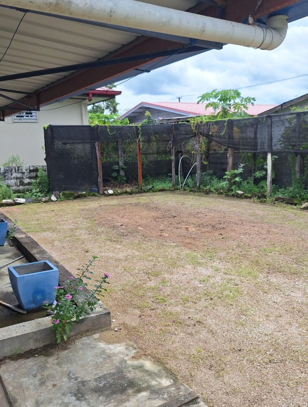 Kwatta, 3 Bedrooms Bedrooms, ,2 BathroomsBathrooms,Woning,Te koop,1174