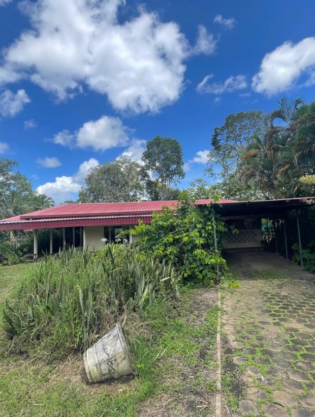 Para, 4 Bedrooms Bedrooms, ,2 BathroomsBathrooms,Woning,Te koop,1185