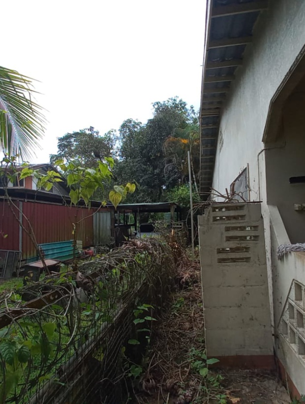 Para, 4 Bedrooms Bedrooms, ,2 BathroomsBathrooms,Woning,Te koop,1185