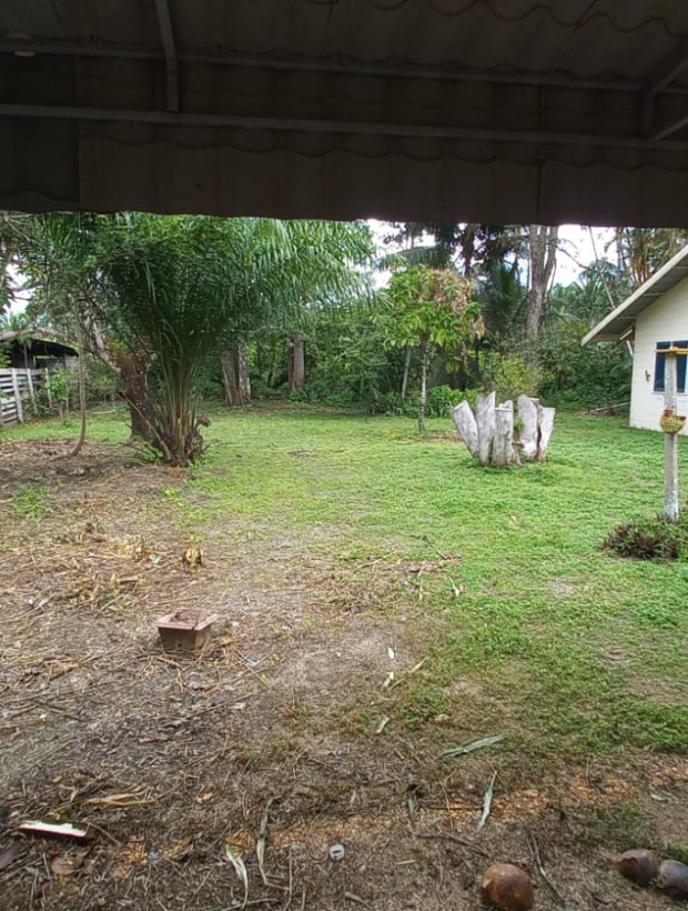 Para, 4 Bedrooms Bedrooms, ,2 BathroomsBathrooms,Woning,Te koop,1185