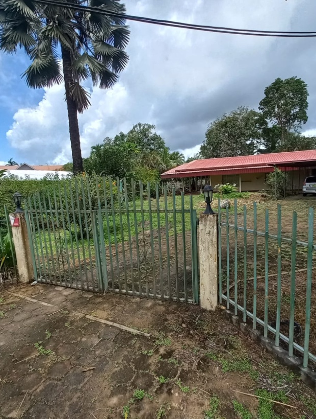 Para, 4 Bedrooms Bedrooms, ,2 BathroomsBathrooms,Woning,Te koop,1185