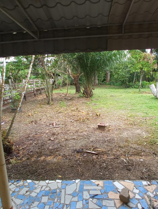 Para, 4 Bedrooms Bedrooms, ,2 BathroomsBathrooms,Woning,Te koop,1185