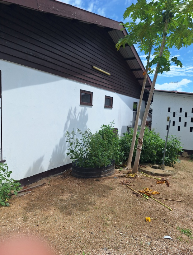 Zorg en Hoop, 3 Bedrooms Bedrooms, ,2 BathroomsBathrooms,Woning,Te huur,1187