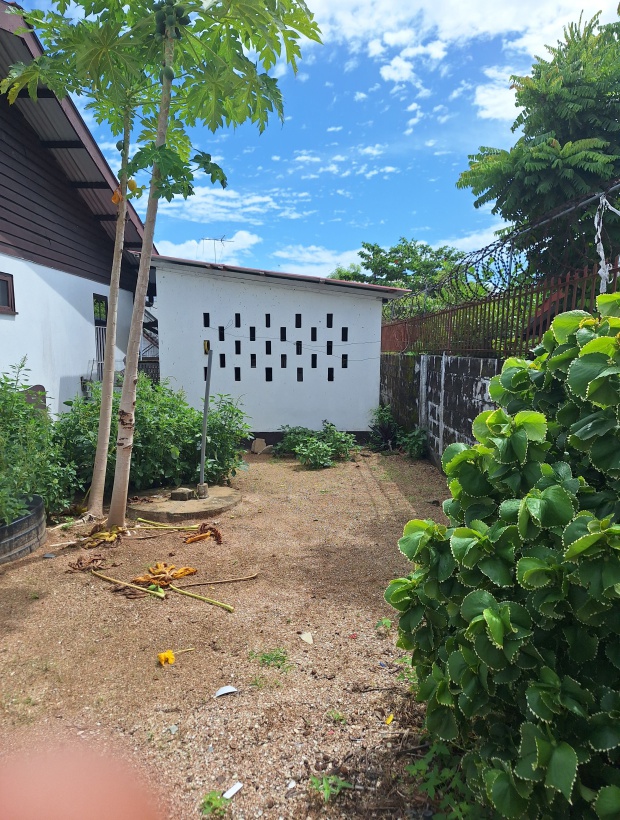 Zorg en Hoop, 3 Bedrooms Bedrooms, ,2 BathroomsBathrooms,Woning,Te huur,1187