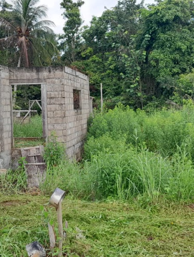 Sophiaslust, ,Perceel,Te koop,1188