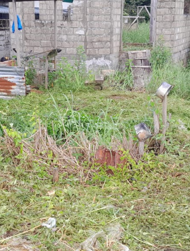 Sophiaslust, ,Perceel,Te koop,1188