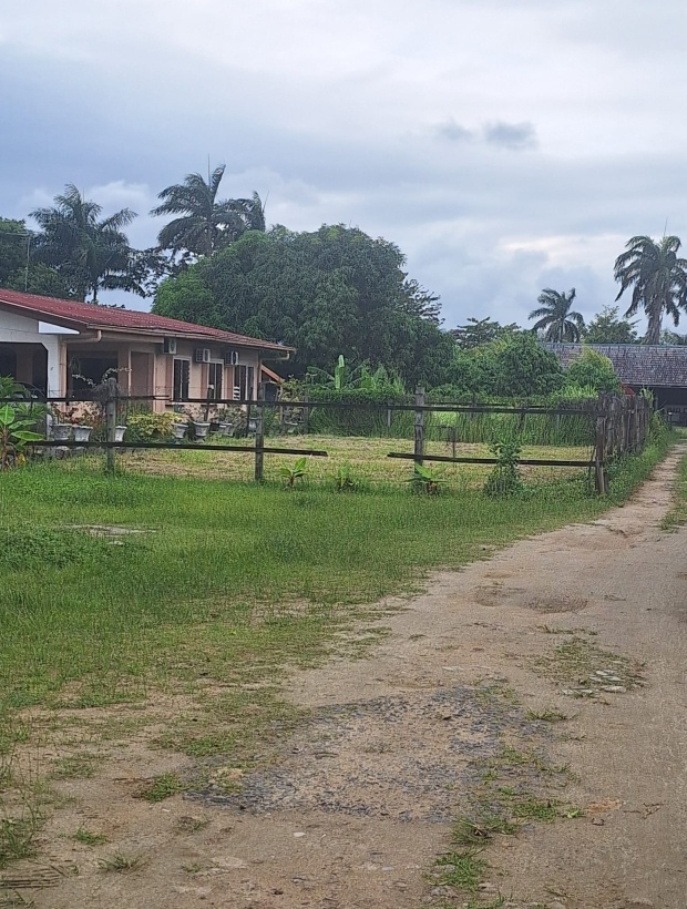 Centrum, ,Perceel,Te koop,Centrum,1192