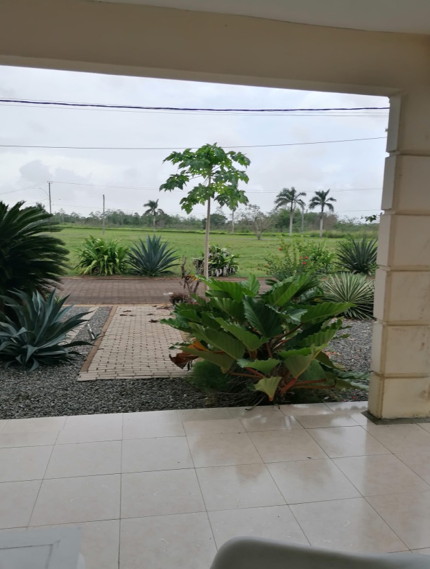 Commewijne, Pa;m Village, 3 Bedrooms Bedrooms, ,2 BathroomsBathrooms,Woning,Te koop,Commewijne,1195