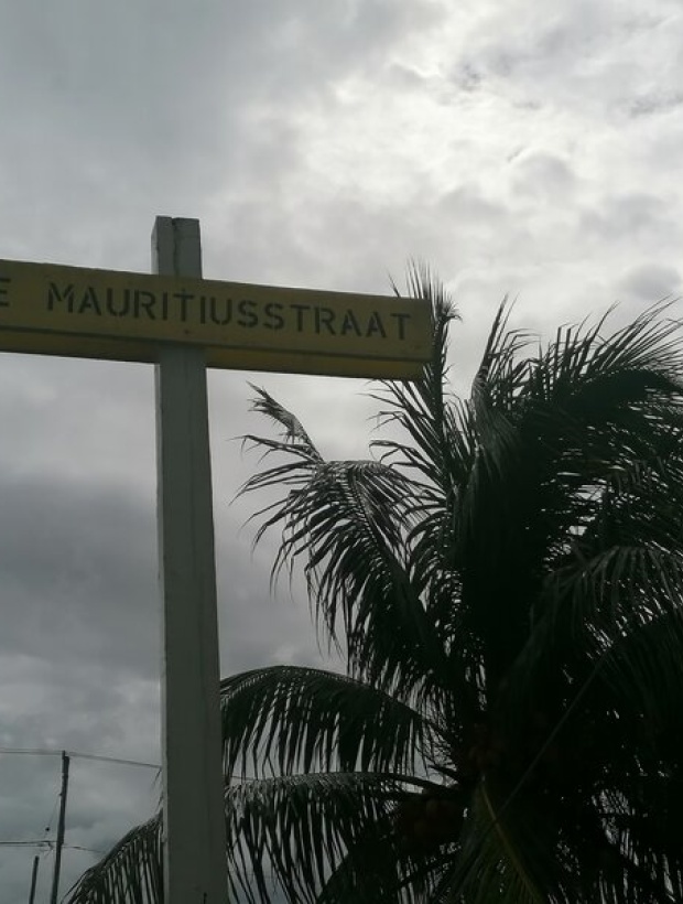 Blue Mauritiusstraat, Paramaribo, ,Perceel,Te koop,Blue Mauritiusstraat,1072